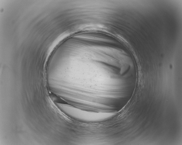 X0000051861384200507151809