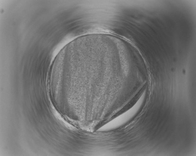 X0000051861387200507151809