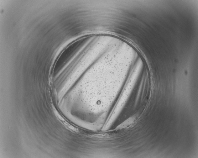 X0000051861388200507151809