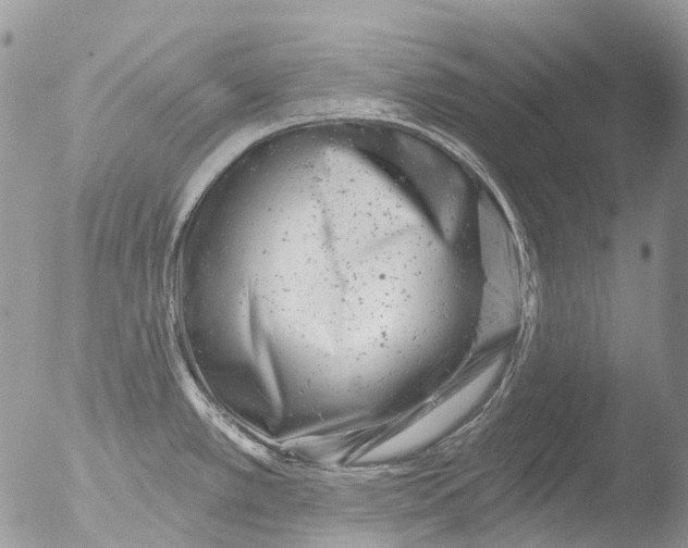 X0000051861389200507151809