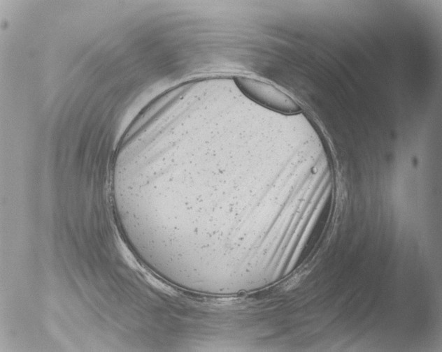 X0000051861390200507151809