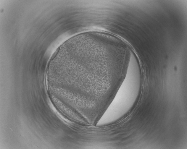 X0000051861391200507151809