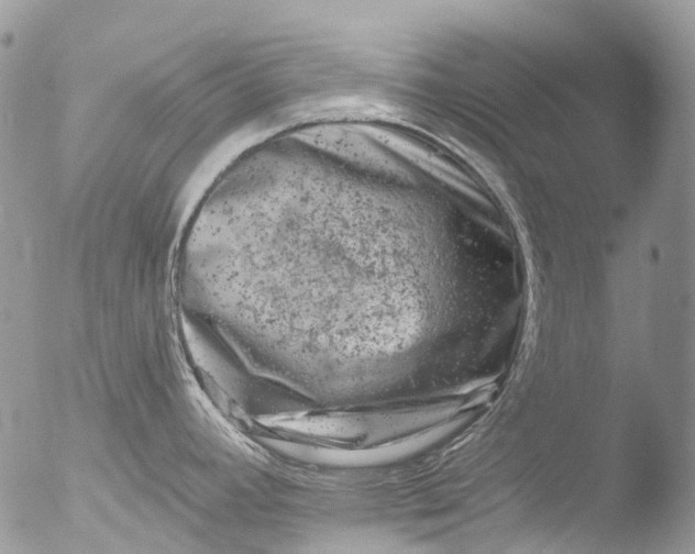 X0000051861392200507151809