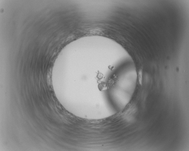 X0000051861395200507151808