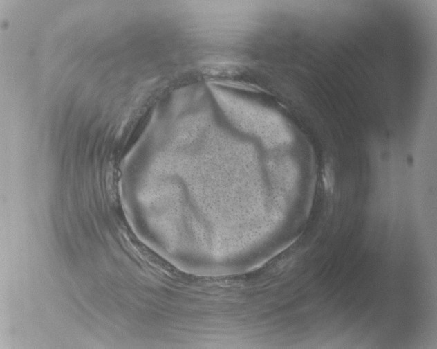 X0000051861396200507151808