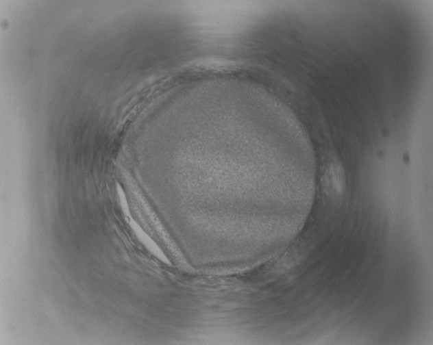 X0000051861397200507151808