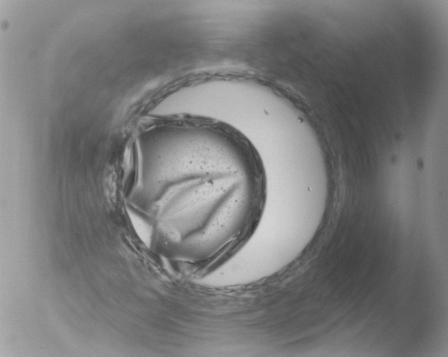 X0000051861398200507151808