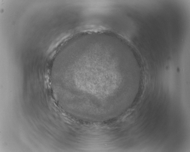 X0000051861399200507151808