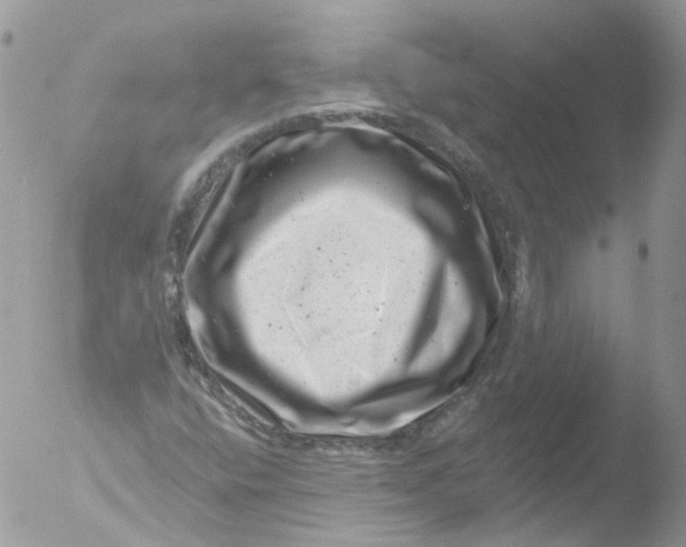 X0000051861400200507151808