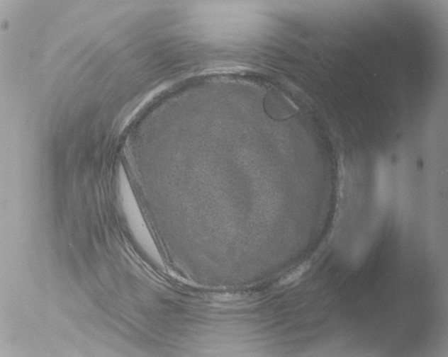 X0000051861401200507151808