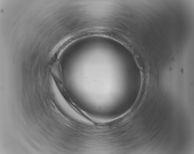 X0000051861402200507151808