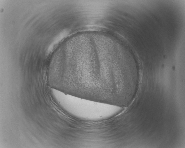 X0000051861403200507151808