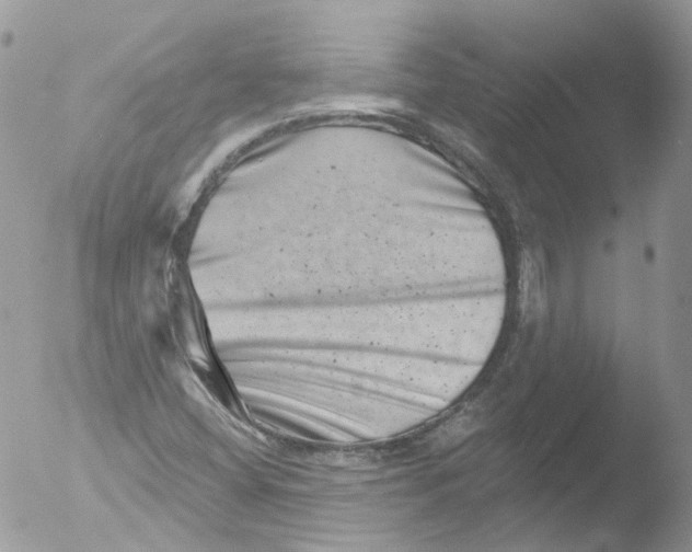 X0000051861404200507151808