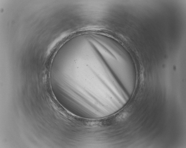 X0000051861406200507151808