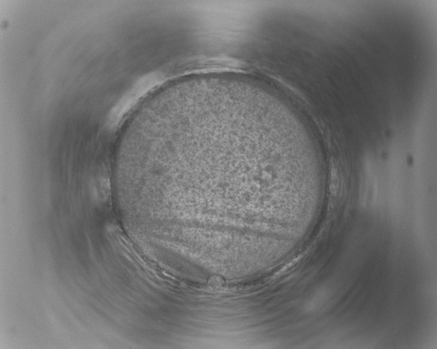 X0000051861407200507151808