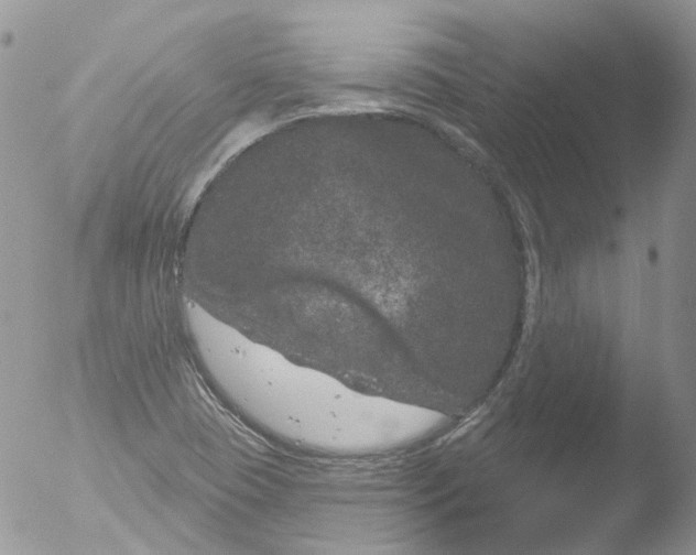 X0000051861409200507151808