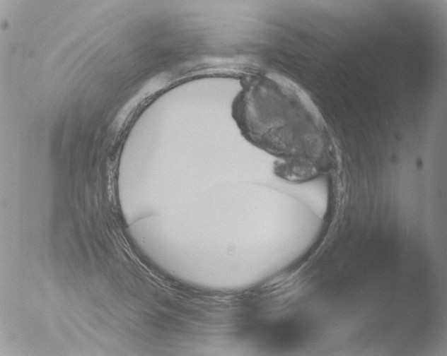 X0000051861411200507151808