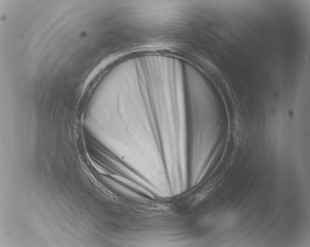 X0000051861412200507151808