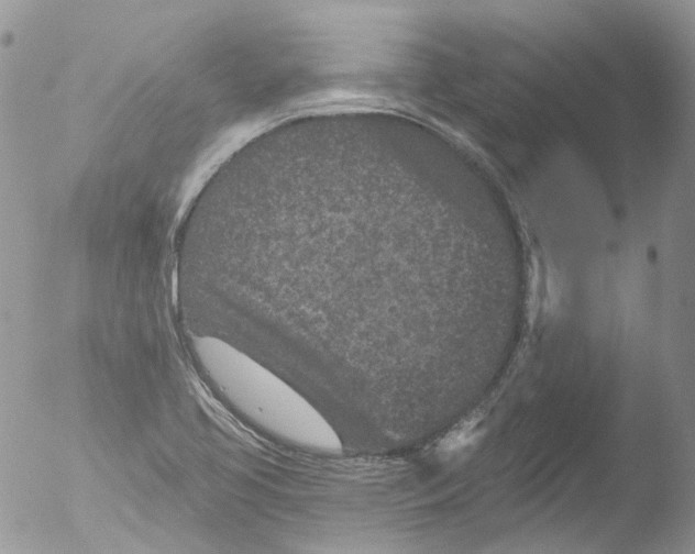 X0000051861413200507151808