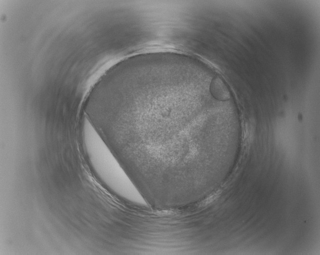 X0000051861415200507151808