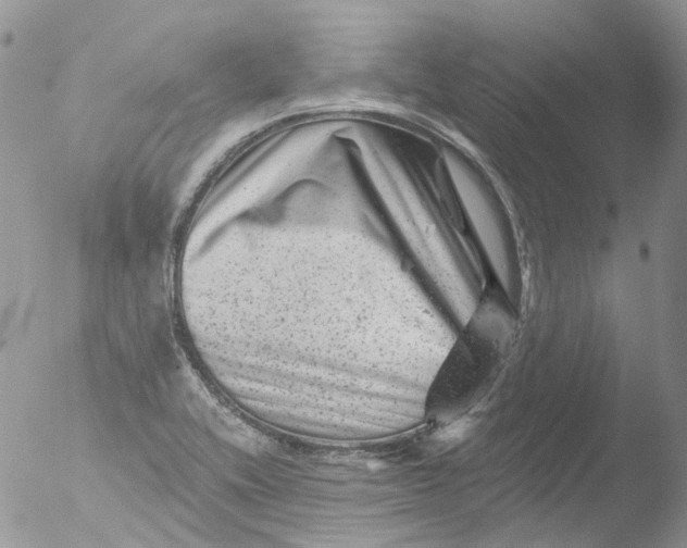 X0000051861416200507151808