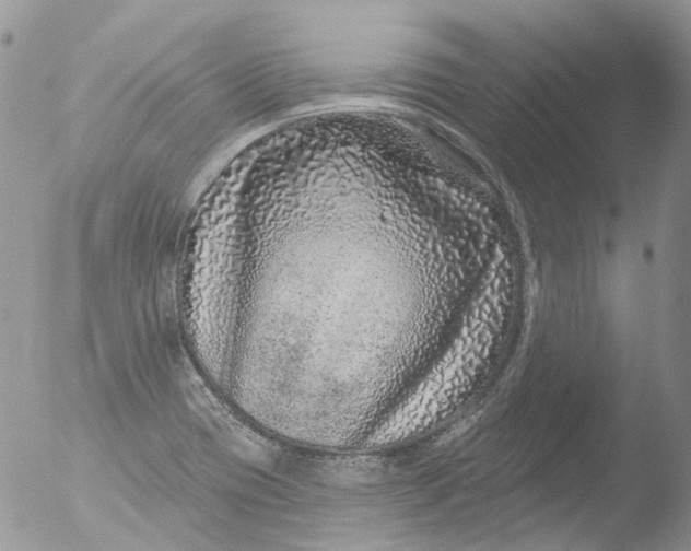 X0000051861417200507151808