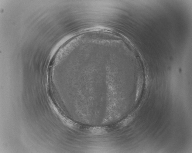 X0000051861418200507151808