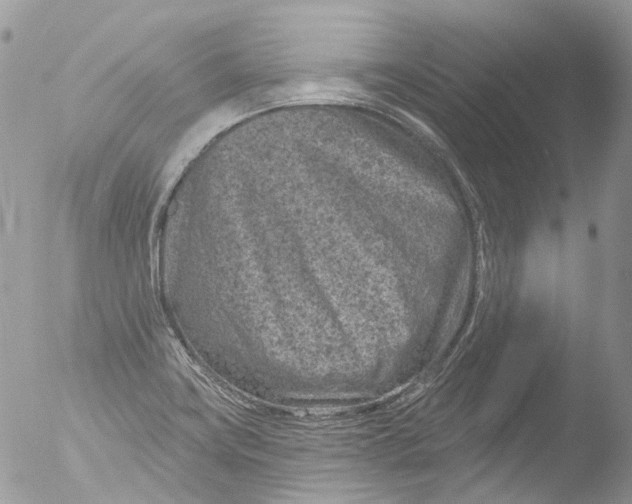 X0000051861419200507151808