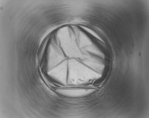 X0000051861420200507151808