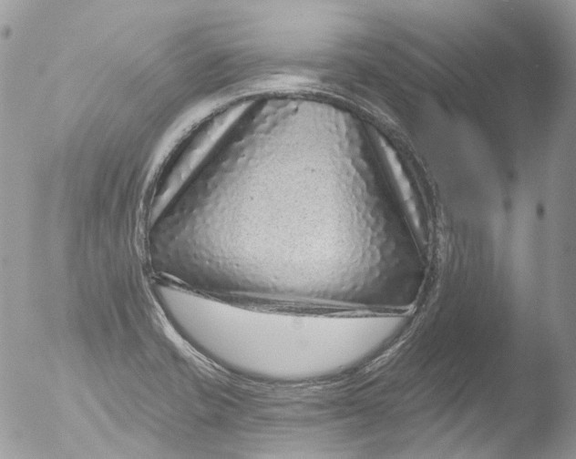 X0000051861421200507151808