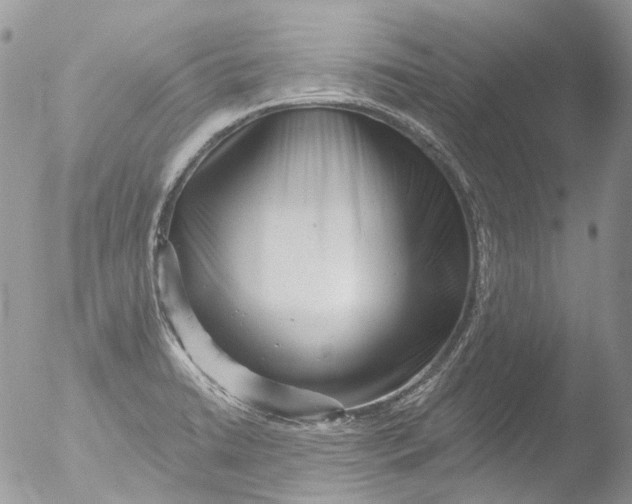 X0000051861422200507151808