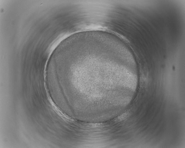 X0000051861423200507151808