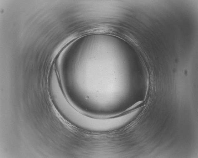 X0000051861426200507151808