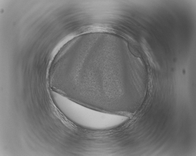 X0000051861427200507151808