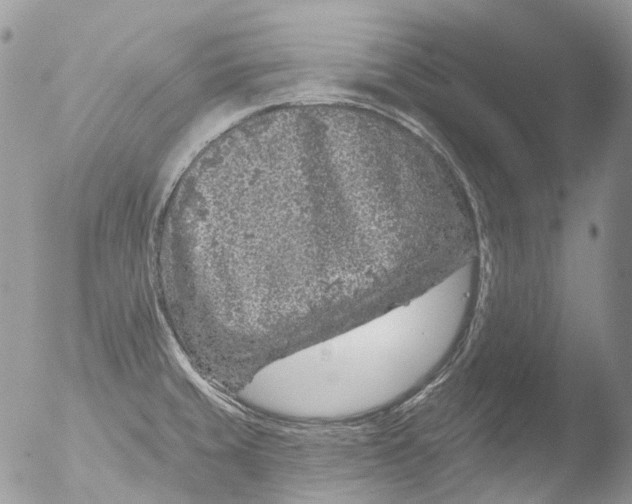 X0000051861429200507151809