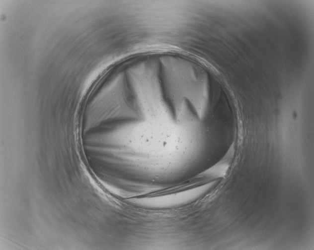 X0000051861430200507151809