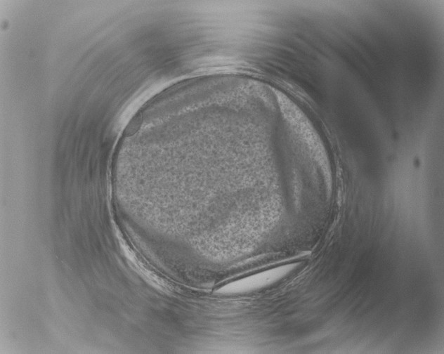 X0000051861431200507151809