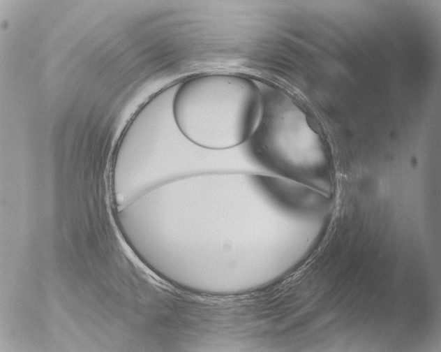 X0000051861432200507151809