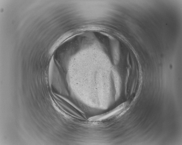 X0000051861433200507151809