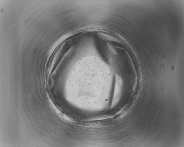 X0000051861434200507151809