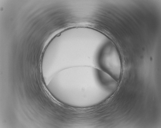 X0000051861436200507151809