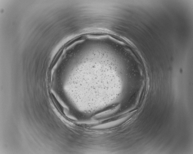 X0000051861438200507151809