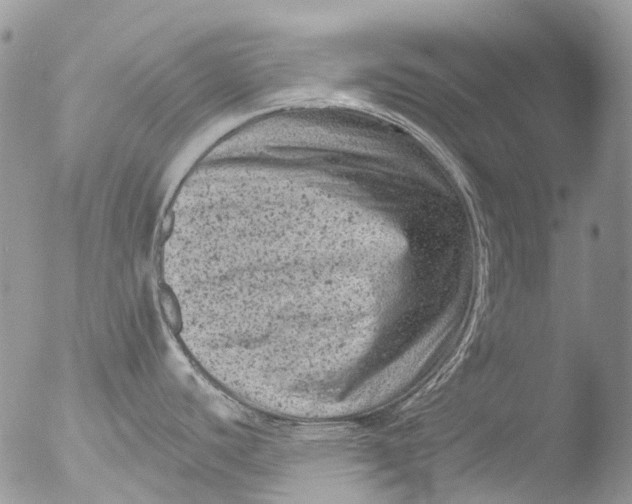 X0000051861440200507151809