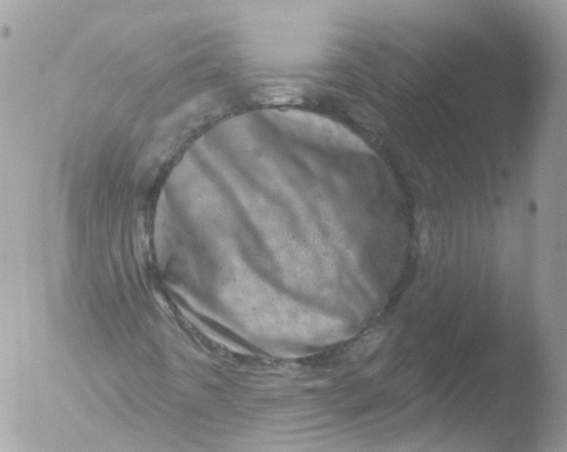 X0000051861442200507151808