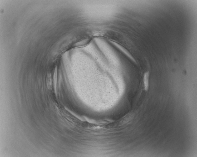 X0000051861443200507151808