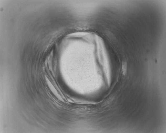 X0000051861444200507151808