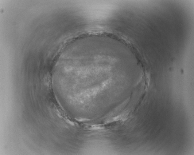 X0000051861445200507151808