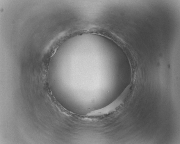 X0000051861447200507151808