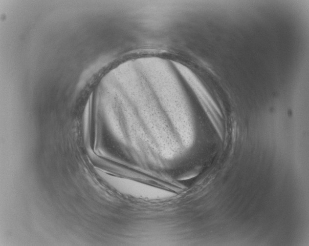 X0000051861448200507151808