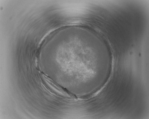 X0000051861449200507151808